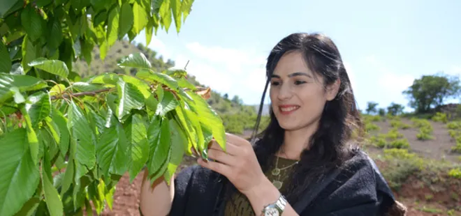 Yaprağı meyvesinden pahalı