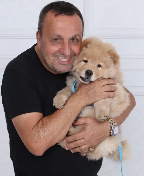 restoranda-kopek-dehseti-cin-aslani-unlu-sarkici-ali-kalin-kulagini-kopardi-1692855462516.jpg Restoranda köpek dehşeti! Çin Aslanı ünlü şarkıcı Ali Kal’ın kulağını kopardı - 2