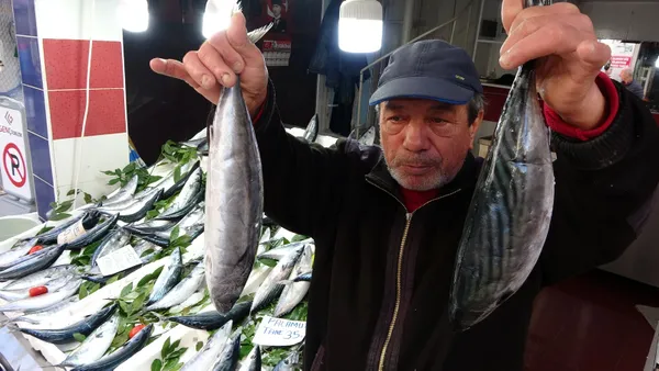 Karadeniz'de palamut bereketi! Balıkçılar önünde uzun kuyruklar oluştu - 1