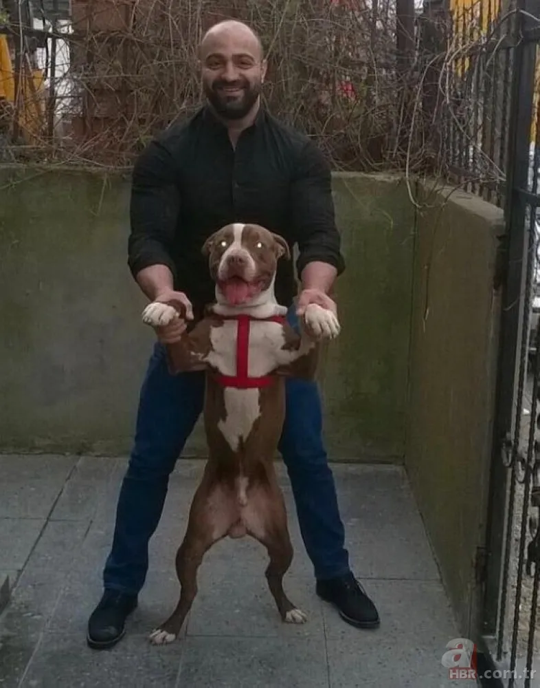 Kendi fabrikalarını yakıp sigorta şirketlerini dolandırdılar! 73 milyon vurgun yapan çete çökertildi 11