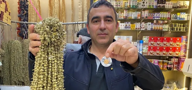 Çiçek bamyanın fiyatı gram altına yaklaştı!