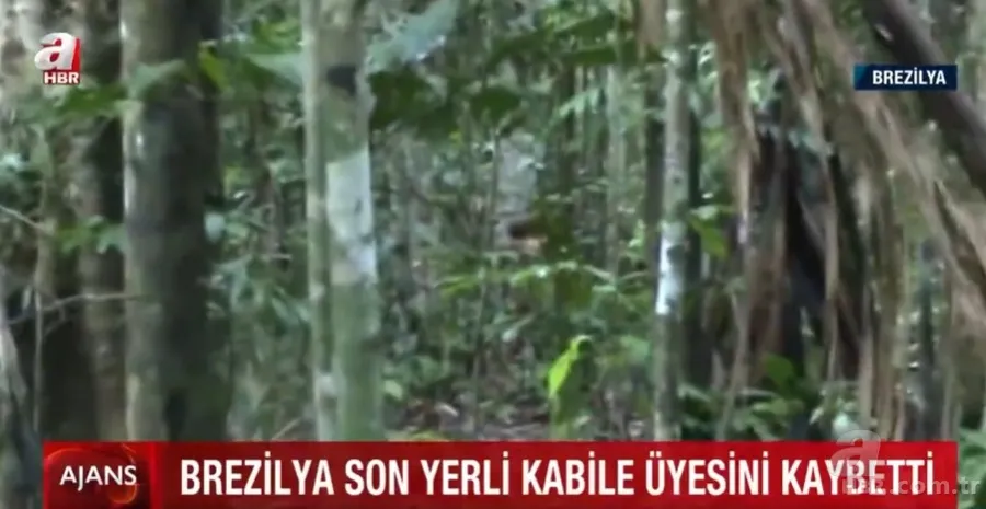 26 yıl kimseyle konuşmayan Çukur Adam öldü! Dış dünyayla teması olmayan kabilenin son üyesiydi 3