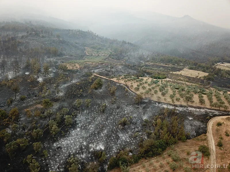 Sakarya’da ciğerlerimiz yanıyor! Hasarın boyutu gün ağarınca ortaya çıktı 6
