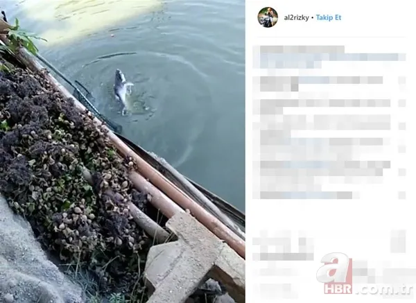 Öyle bir şey tuttu ki... Tam 27 kilo! Bakın ne yaptı? 16