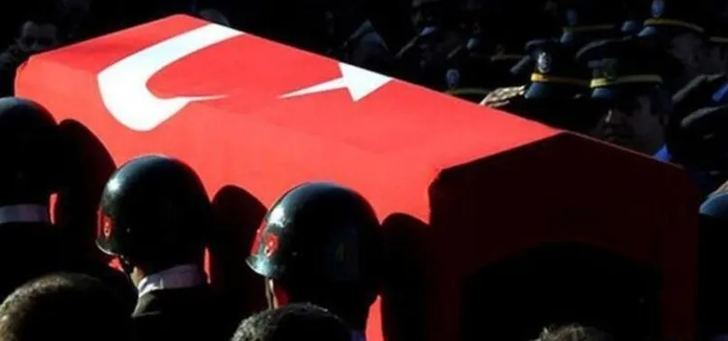 Bitlis Te Iki Mehmetcik Sehit Oldu A Haber Son Dakika Gundem Haberleri
