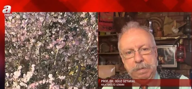 Ağaçlar yalancı bahara kandı! Önümüzdeki dönemde verimlilik düşecek mi?