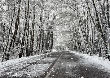 Karla kaplı ağaç tüneli büyülüyor: Bartın ile Karabük arasında kartpostallık manzara
