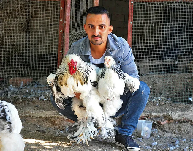 Manisa’da hobi olarak başladığı kanatlı hayvan yetiştiriciliği geçim kaynağı oldu - 3