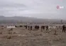 Niğde’de bin fidan toprakla buluşturuldu