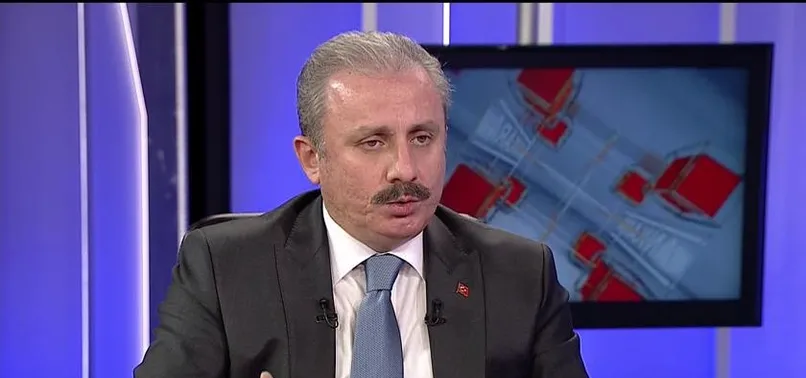 Mustafa Şentop'tan başkanlıkla ilgili önemli açıklama