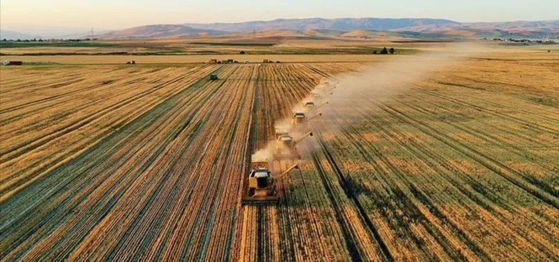 Son dakika: Tarımda tarihi rekor! Cumhuriyet tarihinin en yüksek ihracat rakamı