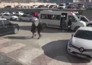 PKKlı teröristler Kandilde paketlendi