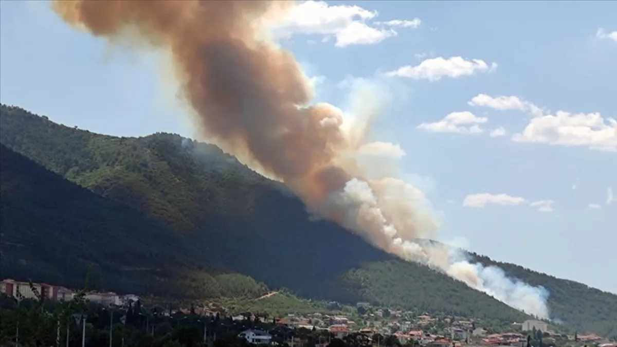 Denizli'deki ormanlık alanda çıkan yangın kontrol altına alındı