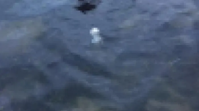 son dakika samsun da soke eden olay denizde cenin bulundu son dakika samsun da soke eden olay denizde cenin bulundu