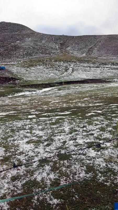 Ardahan’da etkili olan yağış nedeniyle her yer beyaza büründü