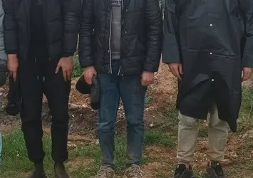 Artvin'de 18 düzensiz göçmen yakalandı