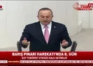 Hükümetten yaptırımlara karşı flaş hamle