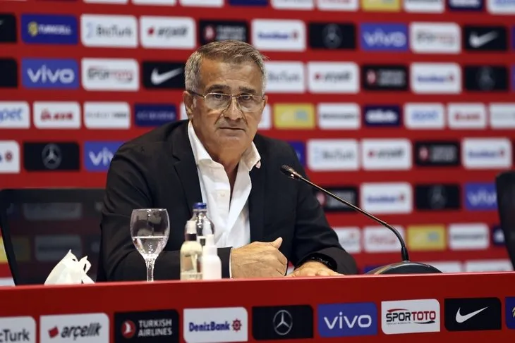 A Milli Takım teknik direktörü Şenol Güneş'ten dikkat çeken sözler! EURO 2020'de Milli Takım ne yaşadı?