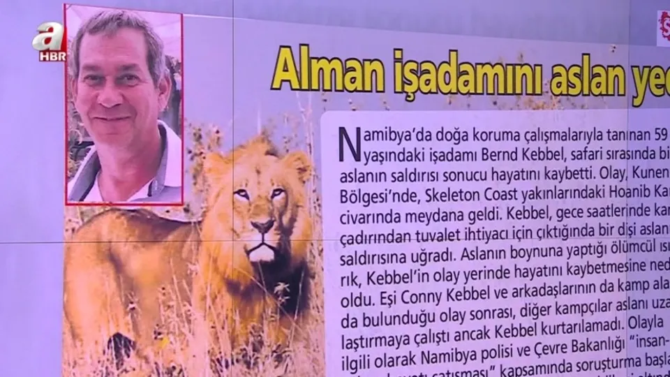 Alman iş insanını aslan yedi