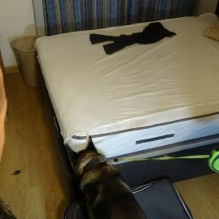 Yatak altından bakın ne çıktı