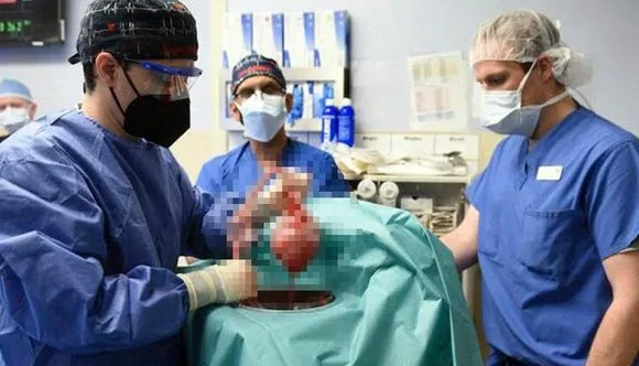 Türk bilim insanına ABD'den önemli ödül! Göğsümüzü bir kez daha kabarttı - 1