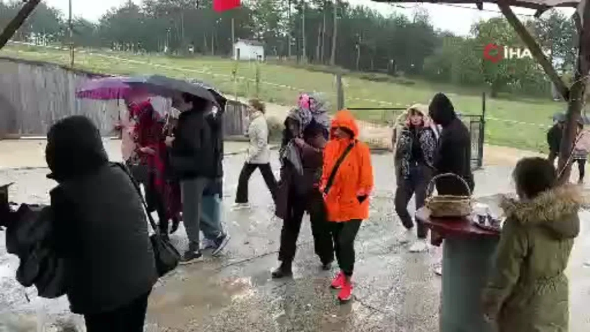 Mor yapraklı kırmızı lifli safrana yoğun ilgi