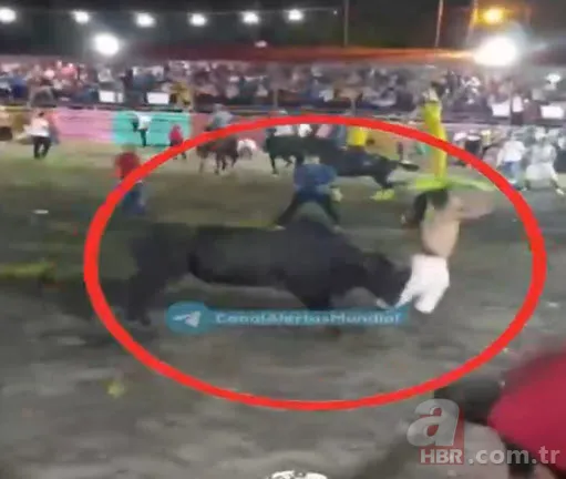 Son arenası oldu! Boğanın boynuz darbeleriyle hayatını kaybetti 4