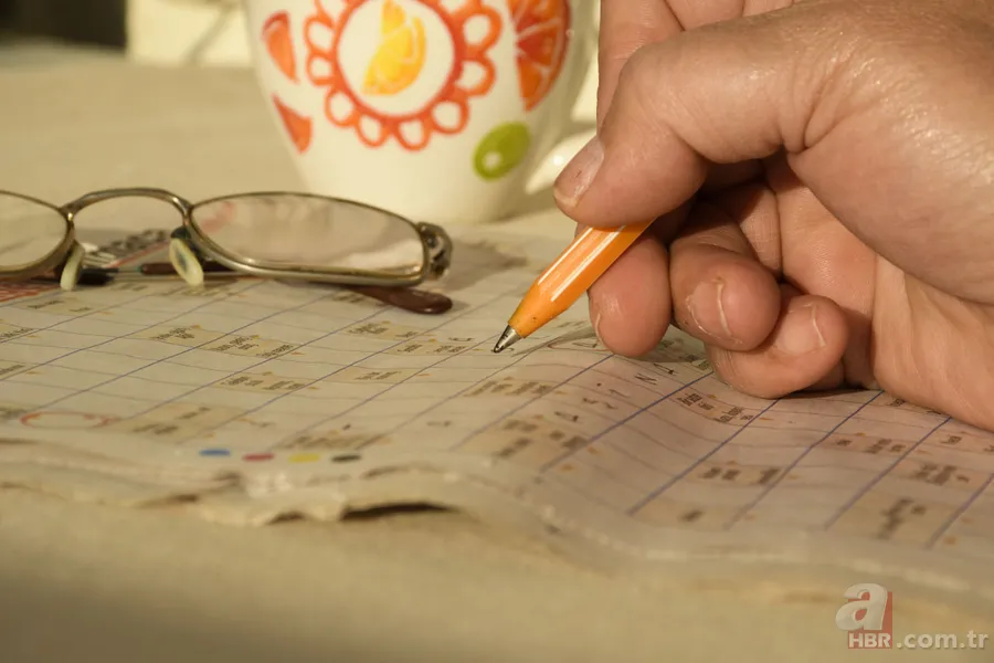 Sandığınız gibi değil! Bilim insanları cevapladı: Bulmaca çözmek gerçekten beyni genç tutmaya yeter mi? 1