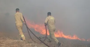 Kırklareli’de orman yangını söndürüldü