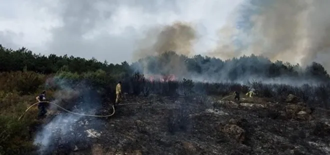 Son dakika: Aydos ormanında yangın