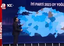 İYİ Parti tek başına ne yapabilir?