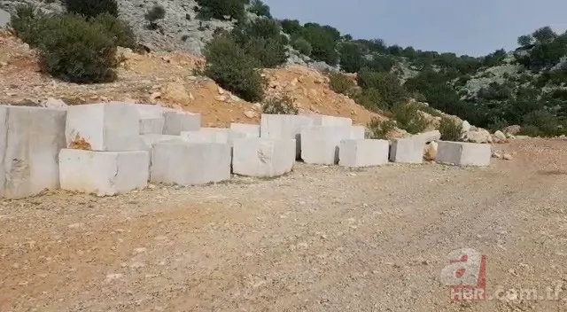 Adana'da Çinliler, Türk ortaklarını 10 milyonluk zararı uğrattı! Türk iş insanının oğlu intihar etti 12