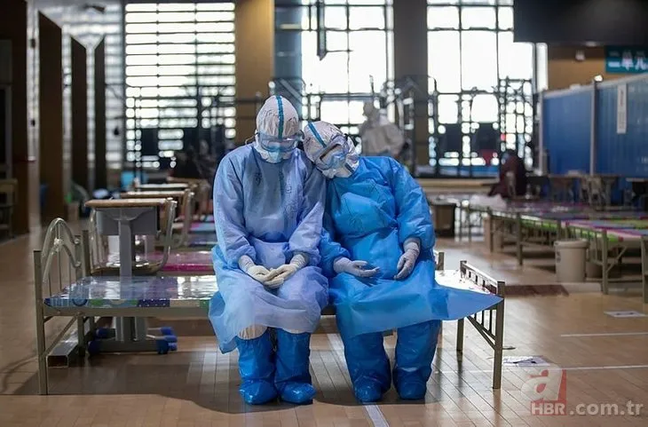 Dünyayı sarsan araştırma! Koronavirüsün kaynağı ne?