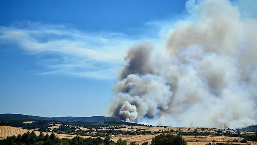 EDİRNE KEŞAN’DA ORMAN YANGINI! 