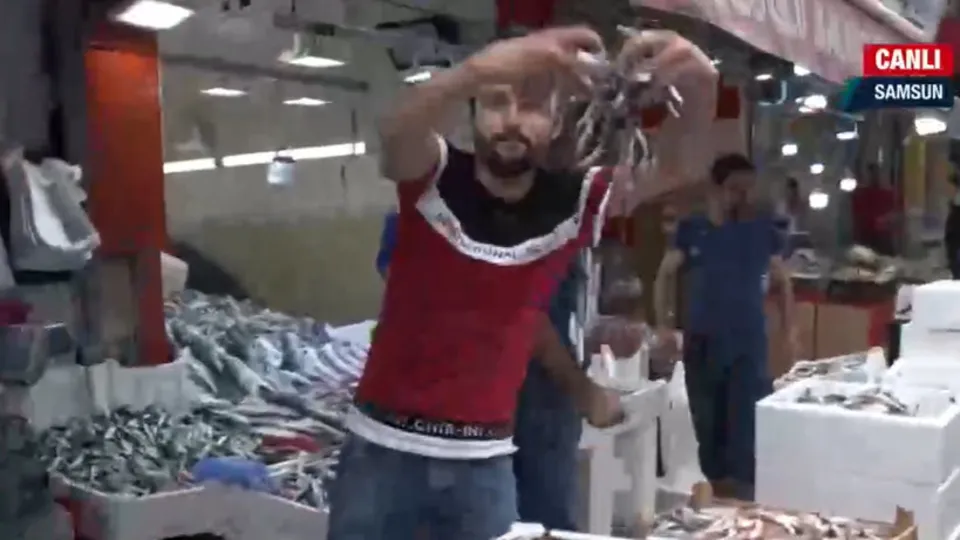 Hamsi tezgahlarda yerini aldı! Balık fiyatlarında son durum ne? Çinekop, istavrit, palamut, mezgit, barbun, hamsi...