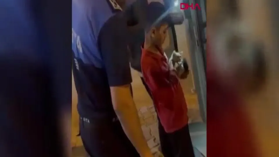 Yavru kedi reklam panosunda mahsur kaldı