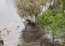 İzmir’de tsunami paniği kamerada