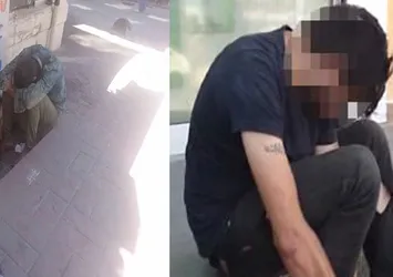 Taksim'de bonzai kâbusu bitmiyor