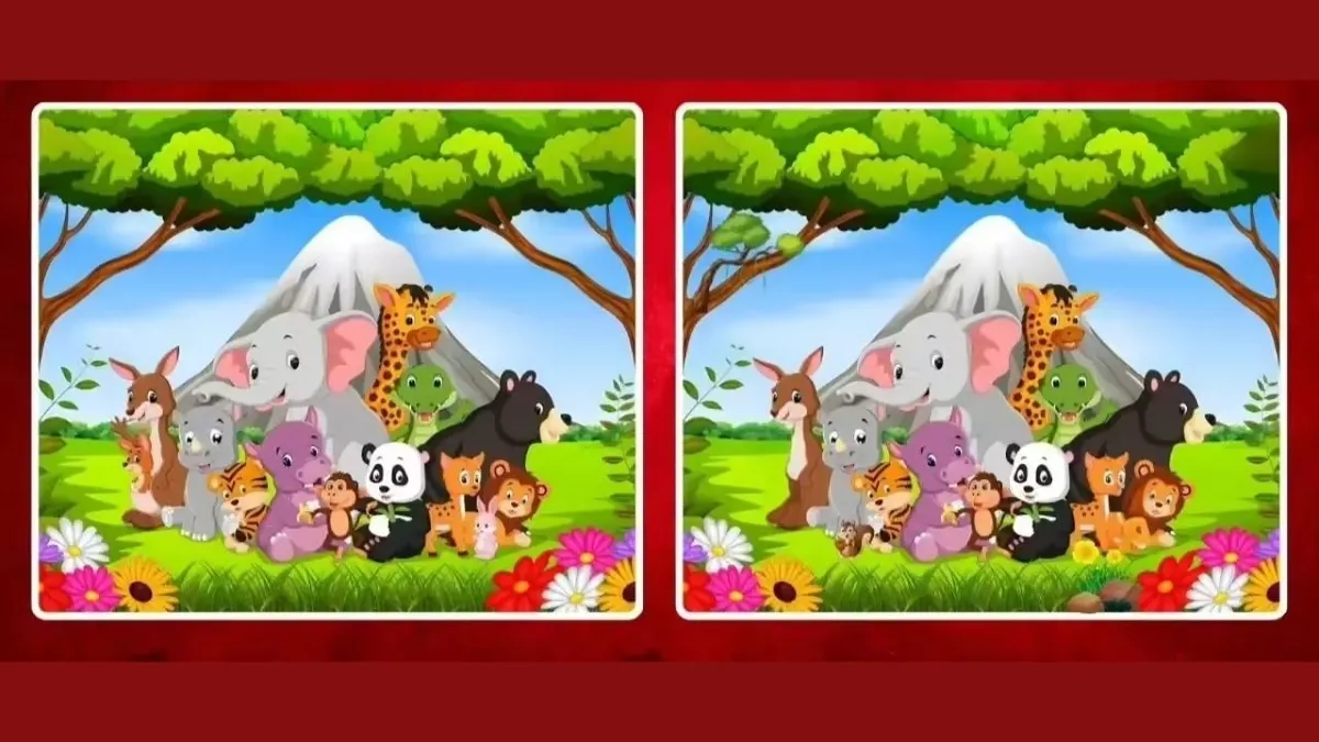 Optik İllüzyon Testi: Hayvanlarla dolu görselde 5 gizli farkı 10 saniyede bulabilir misin?