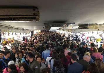 İstanbul'da balık-ekmek izdihamı