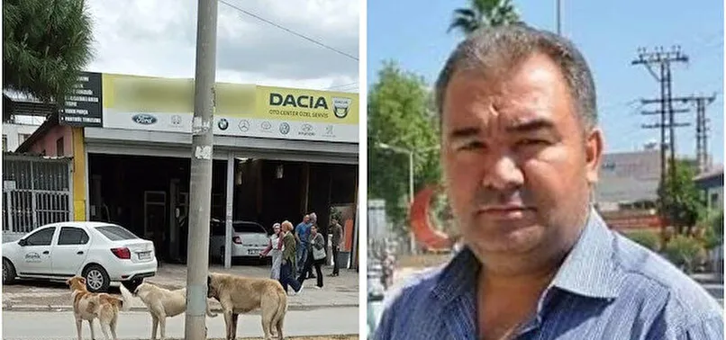 Sokak köpekleri yüzünden bir ölüm daha!
