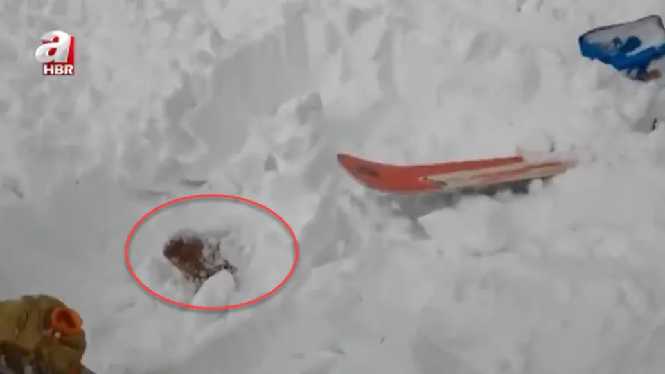 Çığ altında kaldı! Kurtarmak için zamanla yarıştılar