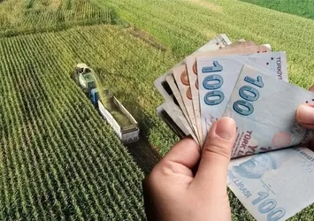 Tarım ve Orman Bakanlığı duyurdu! Destek ödemeleri hesaplara aktarılıyor