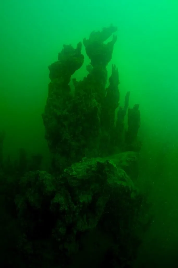 Van Gölü’nde 20 metrelik dikitler bulundu