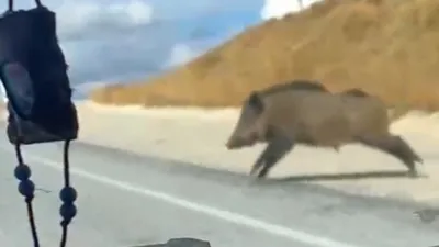 Taziyeye giderken hayrete düştüler