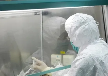Maymun Çiçeği hastalığında flaş ihmal! Avrupa'daki doktorlar hatalı mı?