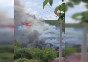 Kocaeli'de ağaçlık alanda yangın çıktı