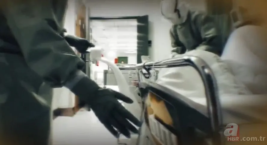 Covid-19'un mutasyon geçirip geçirmediği nasıl anlaşılıyor? Virüs neden mutasyon geçirdi? Mutasyon nedir? 2