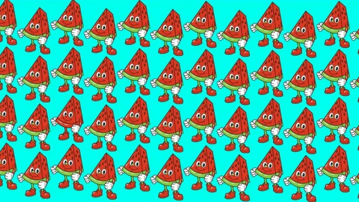 Şimdi zekanı test et! Farklı karpuzu 7 saniyede bulanların IQ seviyesi 113'ün üstünde çıkıyor