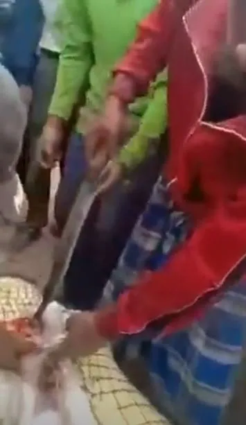 Timsahın karnından insan çıktı! Kan donduran anlar böyle görüntülendi...